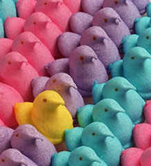 Peeps marshmallow candy